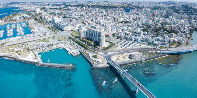 多様なネットワークとアプローチ